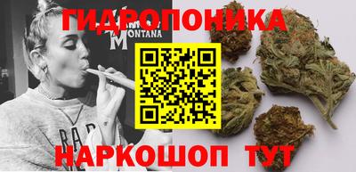 молекула духа Новозыбков