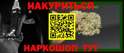 молекула духа Новозыбков