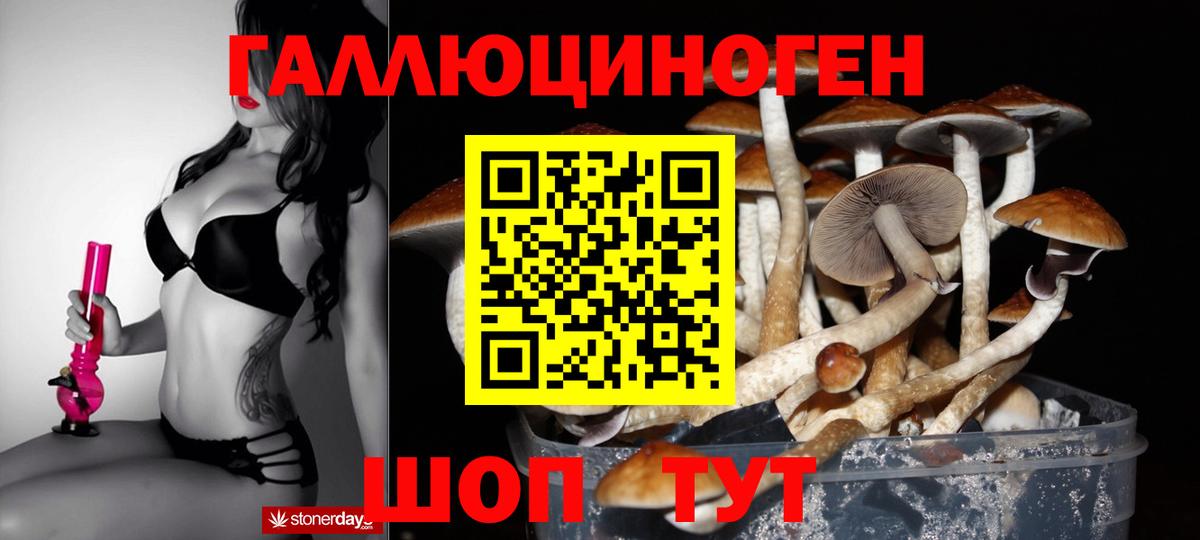 Псилоцибиновые грибы Psilocybine cubensis  Вход с VPN  Белореченск 